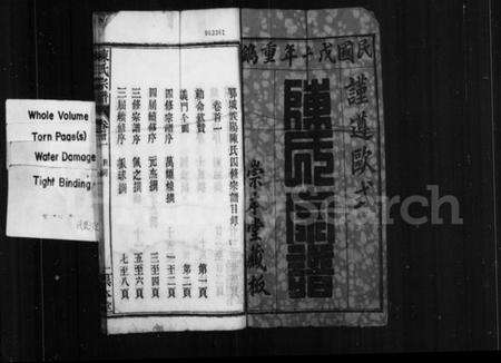 湖北陈氏族谱-陈氏宗谱 [17卷,首2卷](别名：鄂城义阳陈氏四修宗谱).pdf电子版预览图2