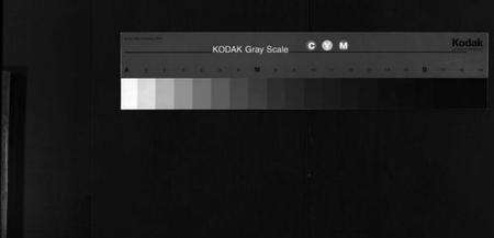 湖北陈氏族谱-陈氏宗谱 [3卷,首1卷,东西分卷](别名：Chen Shi Zong Pu、陈氏东西两分合修宗谱、陈氏宗谱).pdf电子版缩略图