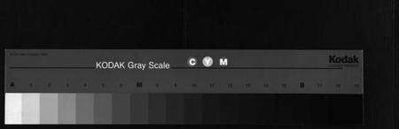 湖北陈氏族谱-陈氏宗谱 [51卷](别名：义陈宗谱、陈氏宗谱、Chen Shi Zong Pu).pdf电子版缩略图
