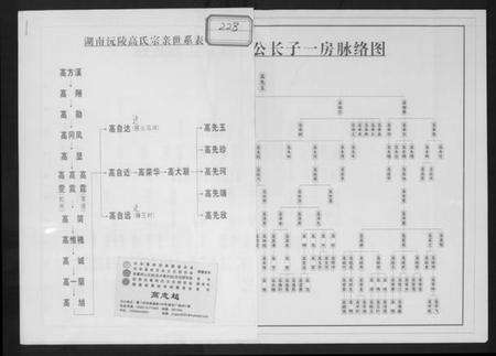 湖南高氏族谱-湖南沅陵高氏宗亲世系表.pdf电子版缩略图