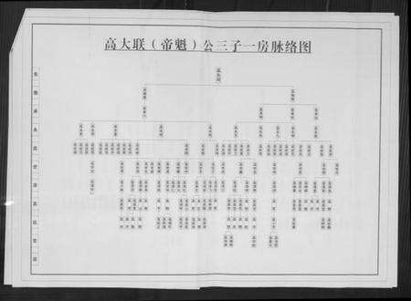 湖南高氏族谱-湖南沅陵高氏宗亲世系表.pdf电子版预览图3