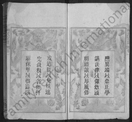 湖北陈氏吕氏杨氏族谱-吕杨陈氏宗谱 [10卷](别名：吕杨陈宗谱、Lv Yang Chen Shì Zong Pu、吕杨陈氏宗谱).pdf电子版预览图5