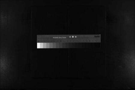 浙江孔氏族谱-孔氏宗谱 [不分卷].pdf电子版缩略图