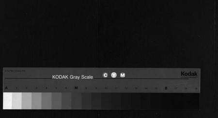 湖北程氏族谱-程氏宗谱 [10卷,首2卷](别名：程氏义谱、Cheng shi zong pu).pdf电子版缩略图