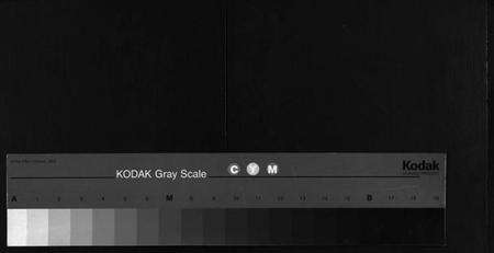 湖北程氏族谱-程氏宗谱[16卷,首2卷](别名：Cheng Shi Zong Pu).pdf电子版缩略图