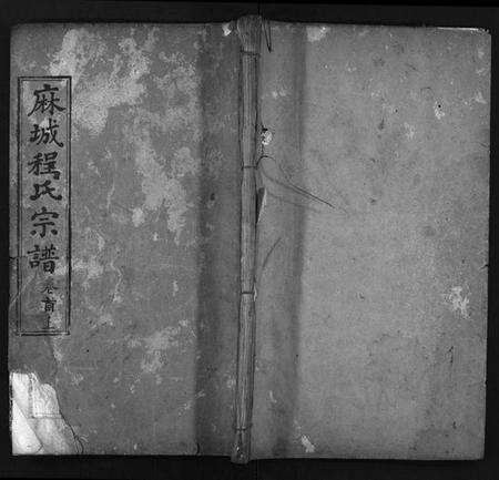 湖北程氏族谱-麻城程氏宗谱 [20卷,首2卷](别名：程氏宗谱、Ma Cheng Cheng Shi Zong Pu).pdf电子版预览图1