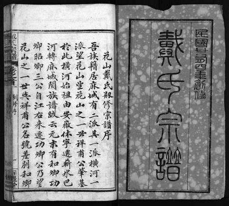 湖北戴氏族谱-花山戴氏宗谱[11卷,首3卷](别名：花山戴氏剏修宗谱序、戴氏宗谱、Hua Shan Dai Shi Zong Pu).pdf电子版预览图2