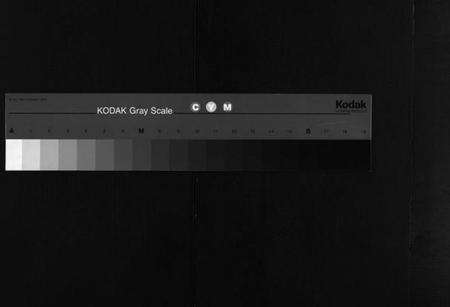 湖北戴氏族谱-戴氏支谱 [9卷,首2卷](别名：Dai Shi Zhi Pu).pdf电子版缩略图