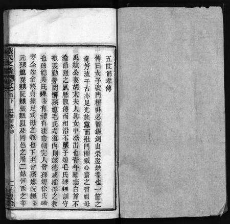 湖北戴氏族谱-戴氏支谱 [9卷,首2卷](别名：Dai Shi Zhi Pu).pdf电子版预览图2