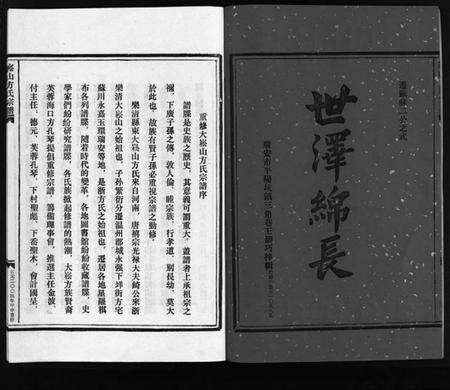 浙江方氏族谱-崧山方氏宗谱 [不分卷].pdf电子版预览图3