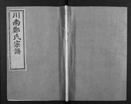 浙江郑氏族谱-川南郑氏宗谱.pdf电子版缩略图