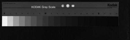 湖北余氏族谱-余氏宗谱 [12卷](别名：余氏族谱、Yu Shi Zong Pu).pdf电子版缩略图