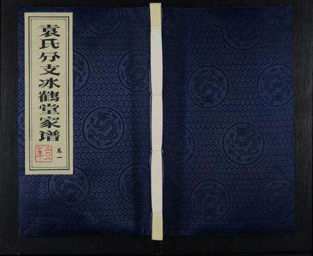 江苏袁氏族谱-袁氏分支冰鹤堂家谱 [2卷](别名：维扬江都袁氏分支冰鹤堂家谱、袁氏家谱).pdf电子版缩略图