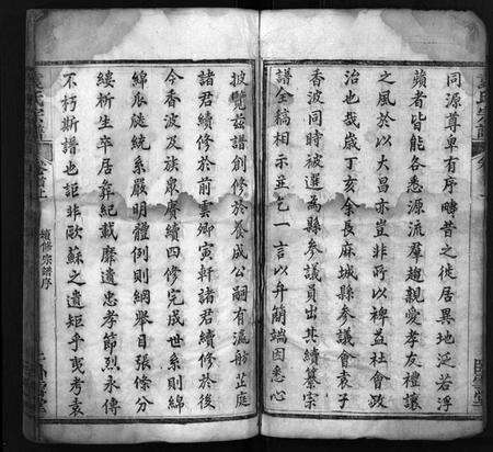 湖北袁氏族谱-袁氏宗谱 [16卷,首2卷](别名：Yuan Shi Zong Pu).pdf电子版预览图2