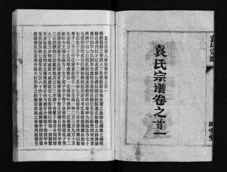 湖北袁氏族谱-袁氏宗谱[首3卷,世系4卷,世传17卷](别名：Yuan Shi Zong Pu).pdf电子版预览图2