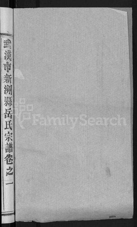 湖北岳氏族谱-岳氏宗谱 [3卷,首1卷](别名：武汉市新洲县岳氏宗谱).pdf电子版预览图2