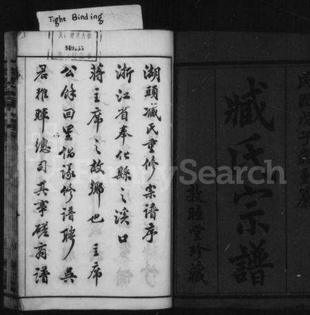 江苏臧氏族谱-臧氏宗谱 [8卷](别名：金沙湖头臧氏宗谱).pdf电子版预览图2