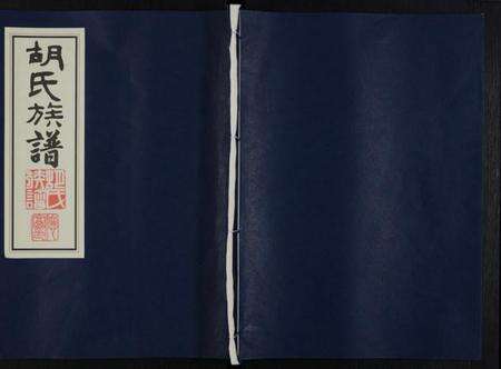 湖南胡氏族谱-胡氏族谱.pdf电子版缩略图