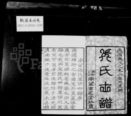 江苏张氏族谱-南望张氏宗谱 [18卷,附1卷](别名：南望张氏世谱).pdf电子版预览图1