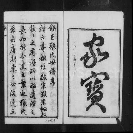 江苏张氏族谱-张氏宗谱(别名：张氏家乘).pdf电子版预览图2