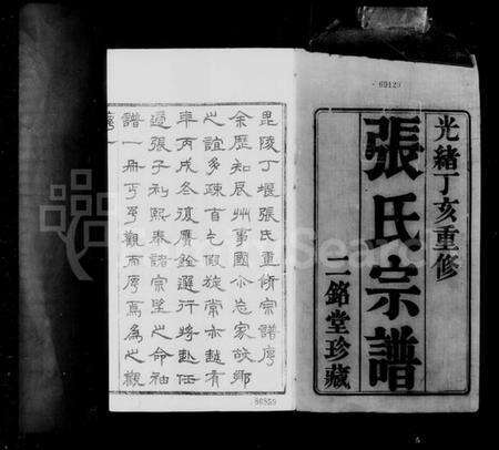 江苏张氏族谱-张氏宗谱 [12卷,首1卷](别名：丁堰张氏宗谱).pdf电子版预览图1