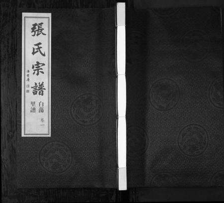 江苏张氏族谱-白荡里张氏宗谱 [8卷](别名：Bai Dang Li Zhang Shi Zong Pu、张氏宗谱).pdf电子版缩略图