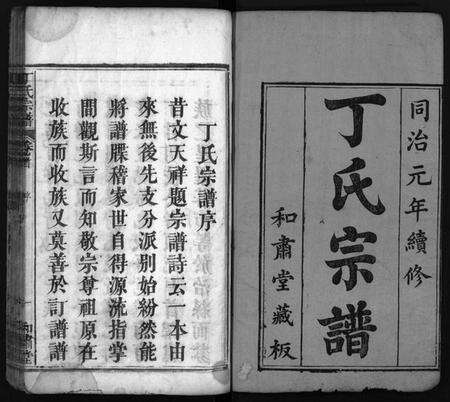 湖北丁氏族谱-丁氏宗谱 [19卷,首1卷](别名：Ding Shi Zong Pu、丁氏分续宗谱、丁氏续修宗谱).pdf电子版预览图2