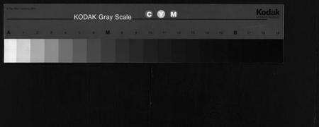 湖北丁氏族谱-丁氏宗谱 [24卷,首2卷](别名：Ding Shi Zong Pu).pdf电子版缩略图