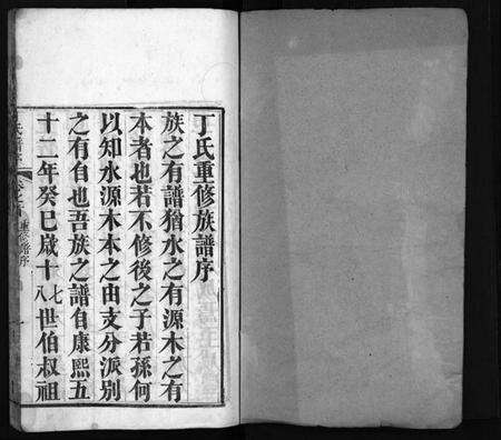 湖北丁氏族谱-丁氏族谱 [7卷,首3卷](别名：Ding Shi Zu Pu、丁氏谱序).pdf电子版预览图2