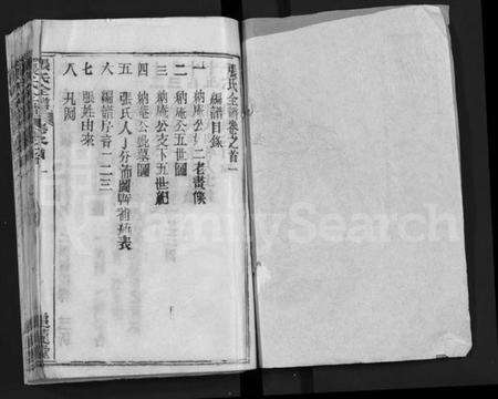 湖北张氏族谱-张氏全谱 [30卷](别名：Zhang Shi Zong Pu).pdf电子版预览图1