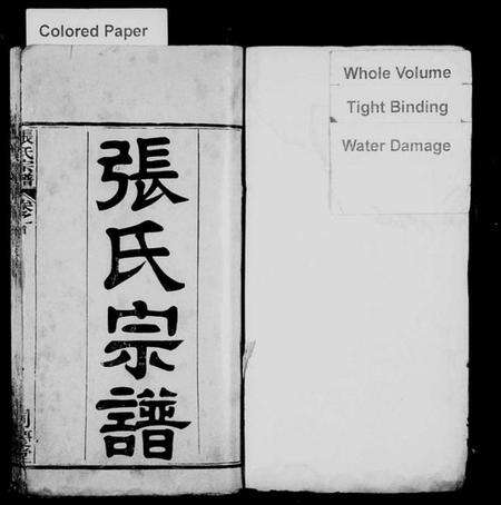 湖北张氏族谱-张氏宗谱 [12卷,首1卷](别名：黄岗张氏宗谱).pdf电子版预览图1