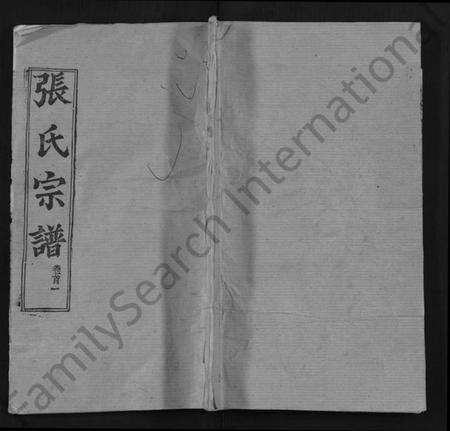 湖北张氏族谱-张氏宗谱 [13卷,首1卷](别名：Zhang Shi Zong Pu).pdf电子版缩略图