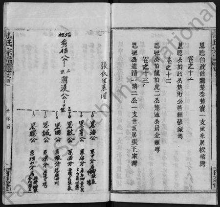 湖北张氏族谱-张氏宗谱 [13卷,首1卷](别名：Zhang Shi Zong Pu).pdf电子版预览图4