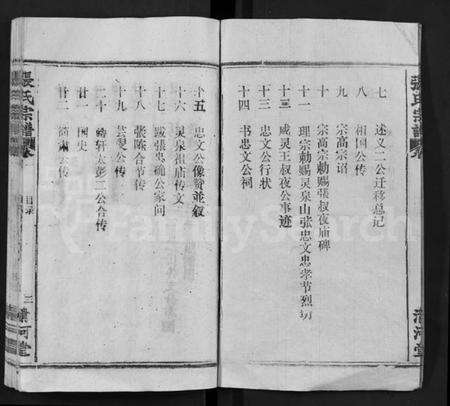 湖北张氏族谱-张氏宗谱 [22卷](别名：Zhang Shi Zong Pu).pdf电子版预览图2