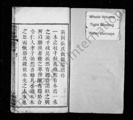 湖北张氏族谱-张氏宗谱 [26卷,首1卷](别名：黄冈张氏宗谱).pdf电子版预览图1