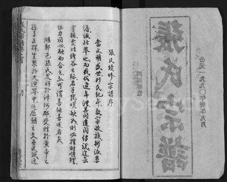 湖北张氏族谱-张氏宗谱 [26卷,首2卷](别名：Zhang Shi Zong Pu).pdf电子版预览图2