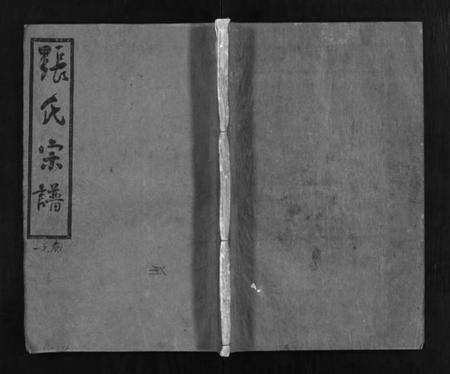 湖北张氏族谱-张氏宗谱 [4卷](别名：Zhang Shi Zong Pu、张氏宗谱).pdf电子版缩略图