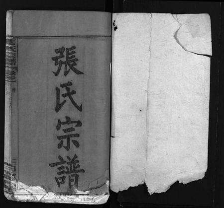 湖北张氏族谱-张氏宗谱 [7卷,含卷首,下1卷](别名：Zhang Shi Zong Pu、张氏宗谱).pdf电子版预览图1