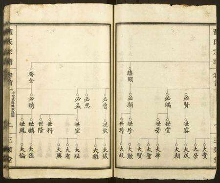 湖北董氏族谱-董氏宗谱 [总卷数不详](别名：Dong Shi Zong Pu).pdf电子版预览图1