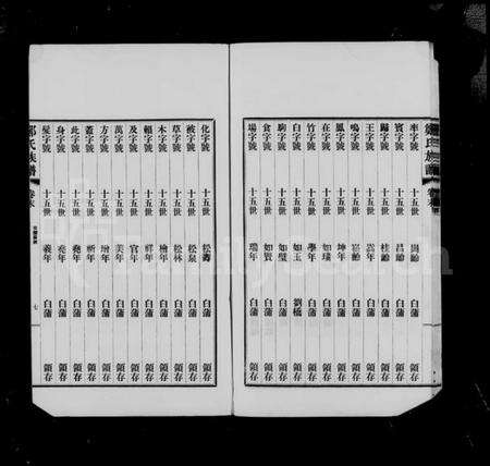 江苏郑氏族谱-扶风郑氏宗谱 [4卷](别名：郑氏宗谱).pdf电子版预览图3