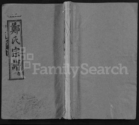 湖北郑氏族谱-郑氏宗谱 [16卷,含首2卷](别名：Zheng Shi Zong Pu).pdf电子版缩略图