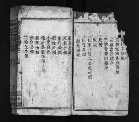 湖北祝氏族谱-祝氏宗谱 [12卷](别名：祝氏宗谱、Zhu Shi Zong Pu).pdf电子版预览图2