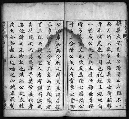 湖北祝氏族谱-祝氏宗谱 [9卷,首2卷](别名：祝氏创修宗谱、Zhu Shi Zong Pu).pdf电子版预览图3