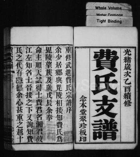 江苏费氏族谱-费氏支谱 [10卷,首末各1卷](别名：琅琊费氏武进支谱).pdf电子版预览图1