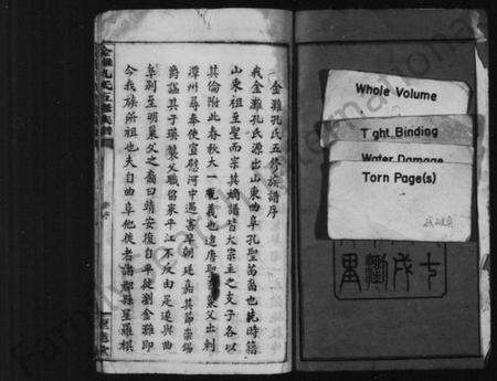 湖南孔氏族谱-金滩孔氏五修族谱 [残卷].pdf电子版预览图3