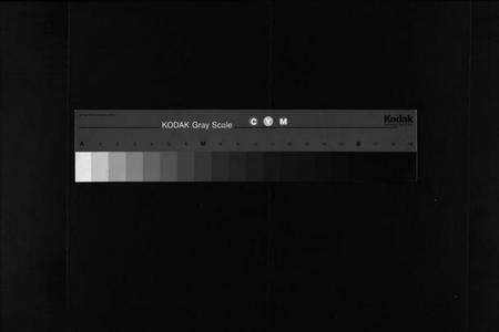 浙江蔡氏族谱-东阳茶场蔡氏宗谱 [4卷].pdf电子版