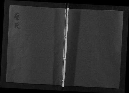 浙江蔡氏族谱-东阳鹿峰蔡氏宗谱[不分卷].pdf电子版