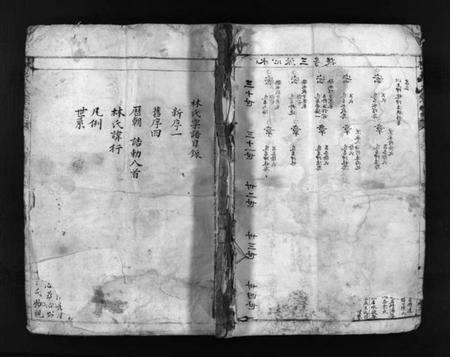 浙江林氏族谱-林氏大宗谱 [不分卷].pdf电子版预览图1