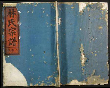 浙江林氏族谱-林氏宗谱.pdf电子版缩略图