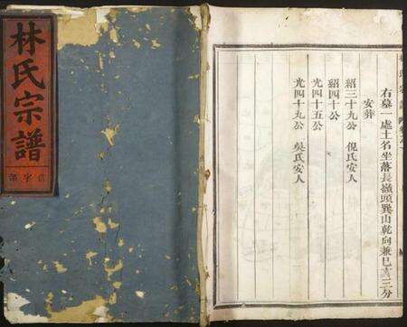 浙江林氏族谱-林氏宗谱.pdf电子版缩略图